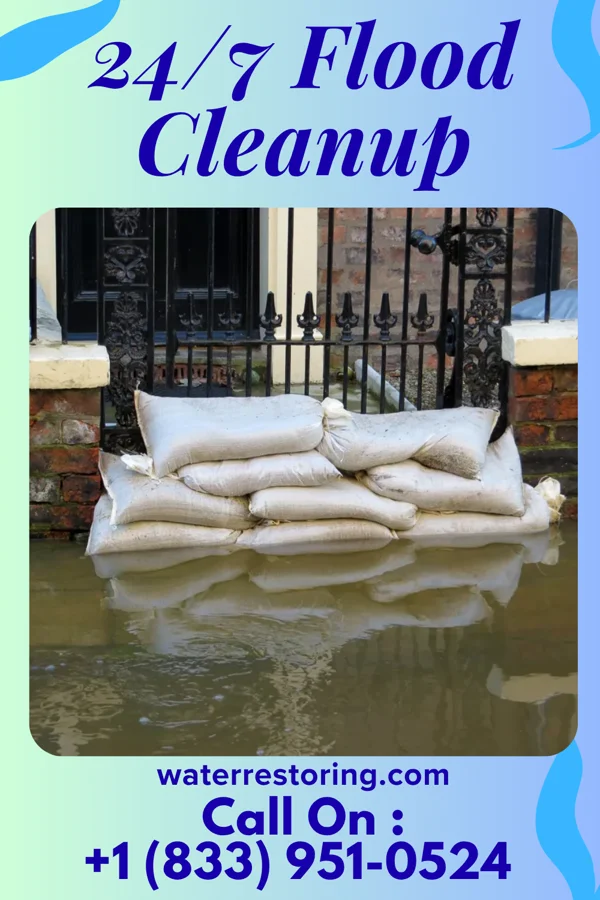 24/7 Flood Cleanup in Mokuleia, HI