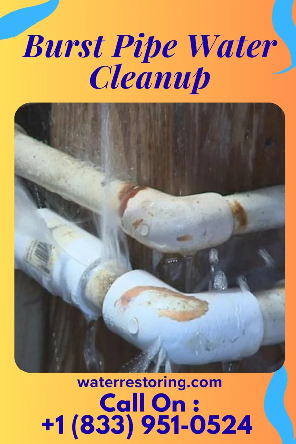Burst Pipe Water Cleanup in Mokuleia, HI