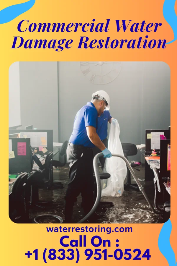 Commercial Water Damage Restoration in Mokuleia, HI