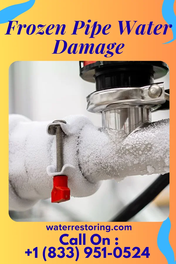 Frozen Pipe Water Damage in Mokuleia, HI