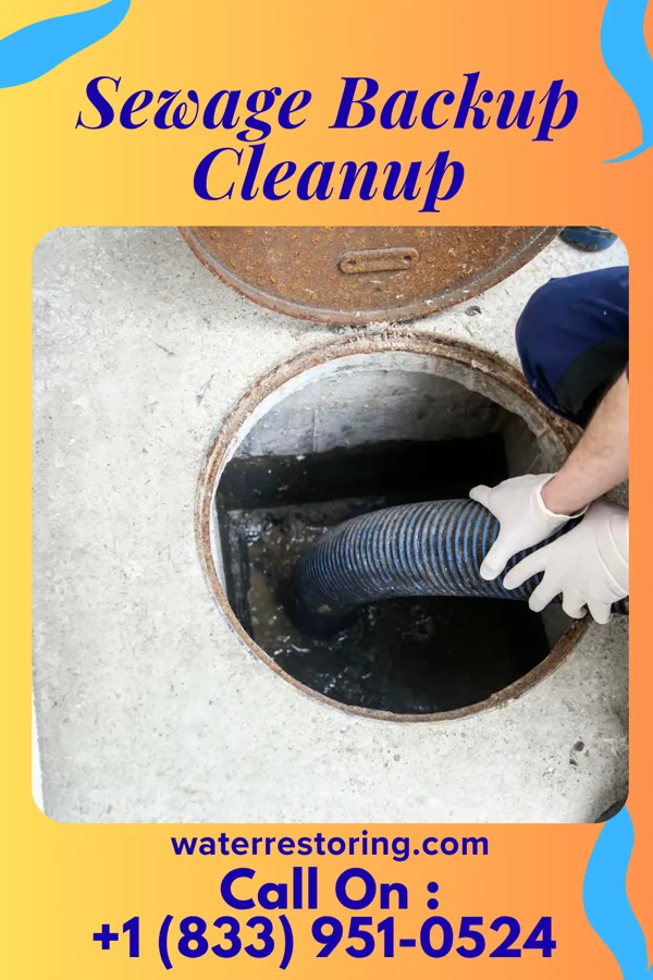 Sewage Backup Cleanup in Mokuleia, HI