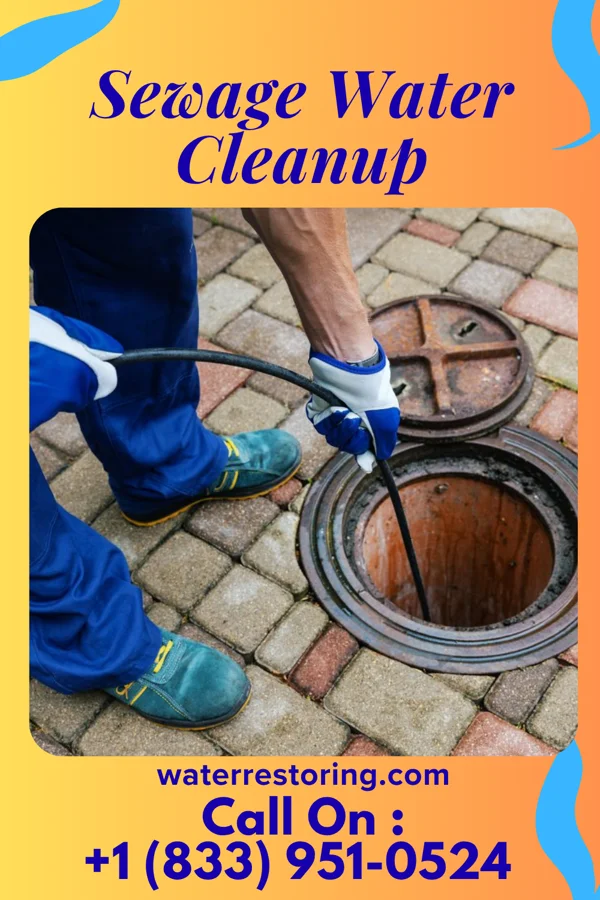 Sewage Water Cleanup in Mokuleia, HI